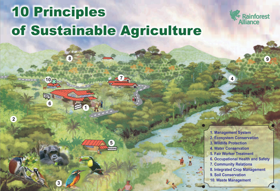sustainable-agriculture-banner